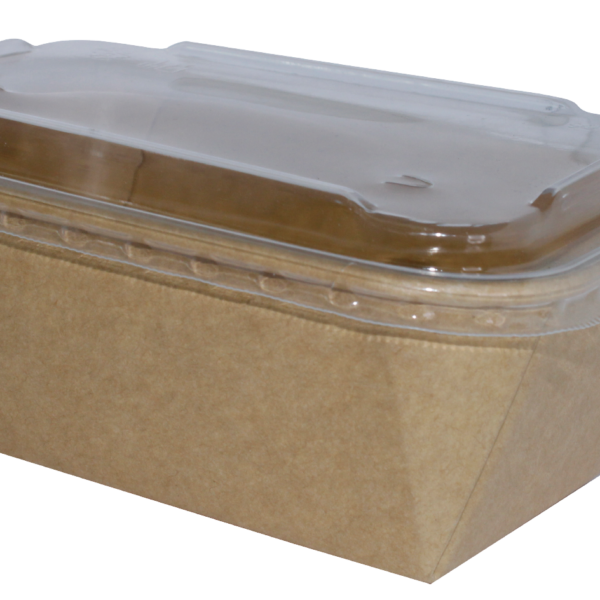 Envase de cartón lunch box con tapa, ECOLIN